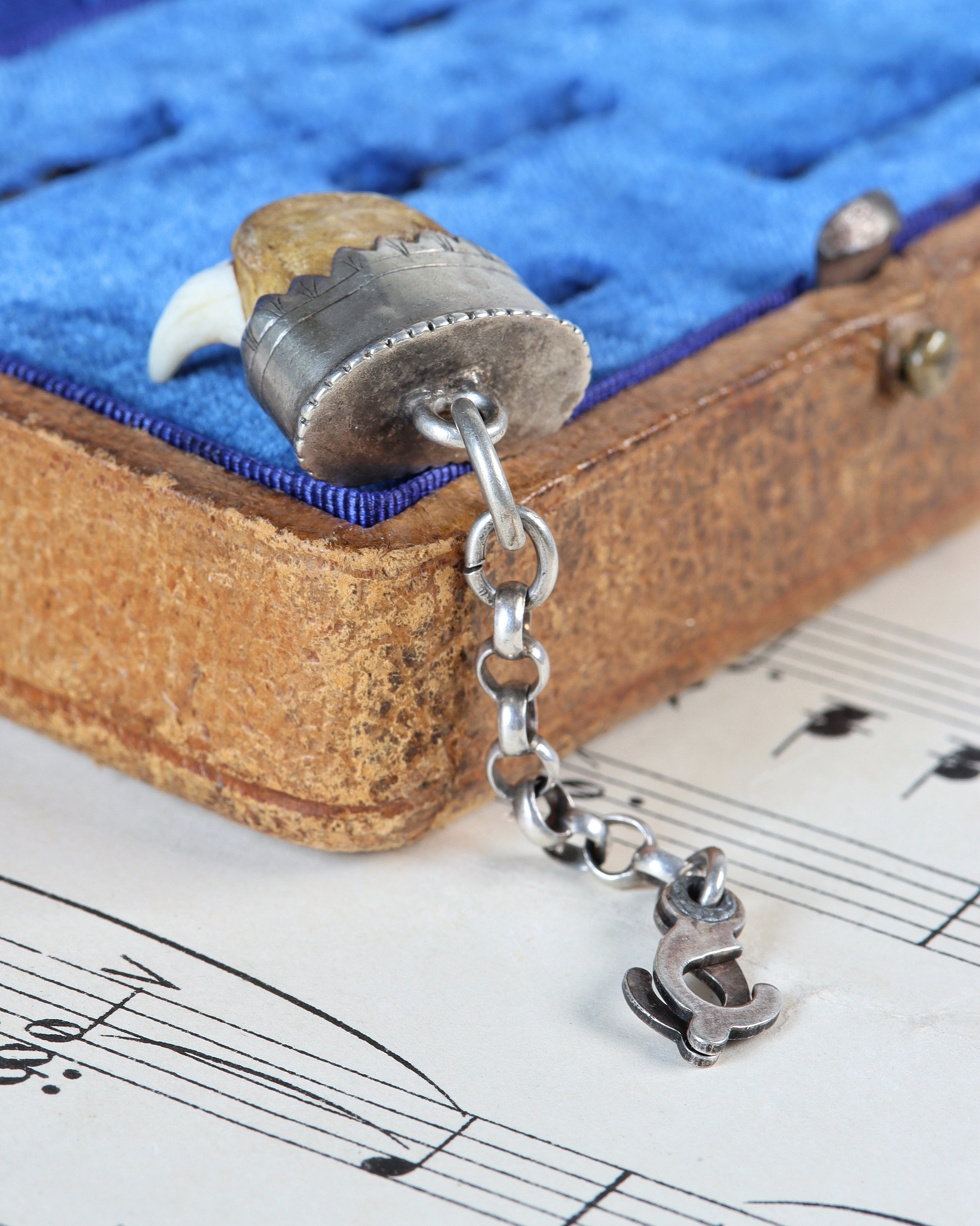 Antique Charivari Animal Tooth Pendant