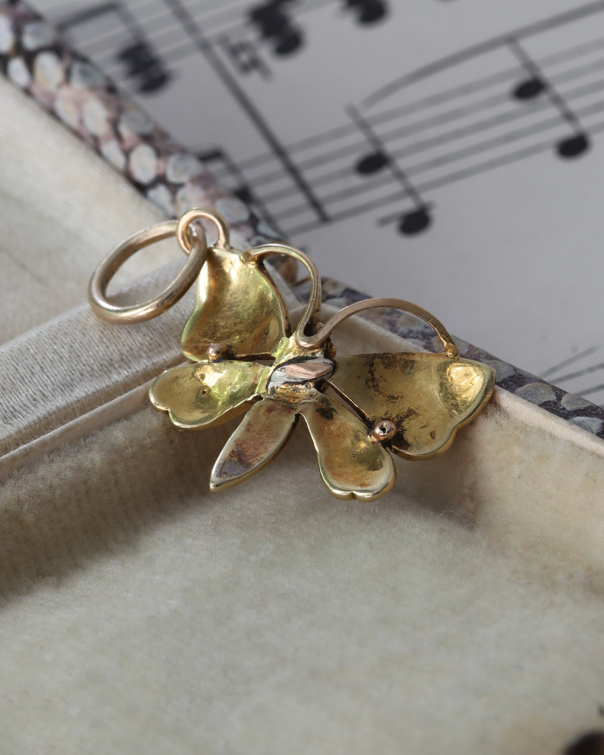 Victorian 9ct Gold Seed Pearl and Tourmaline Butterfly Charm