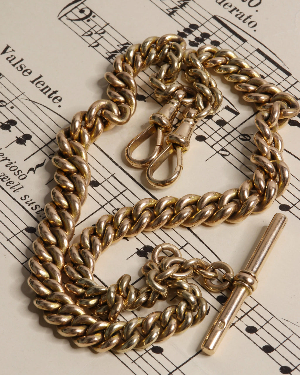Antique Victorian Curb Link Watch Chain With T-bar And Two Dog Clips