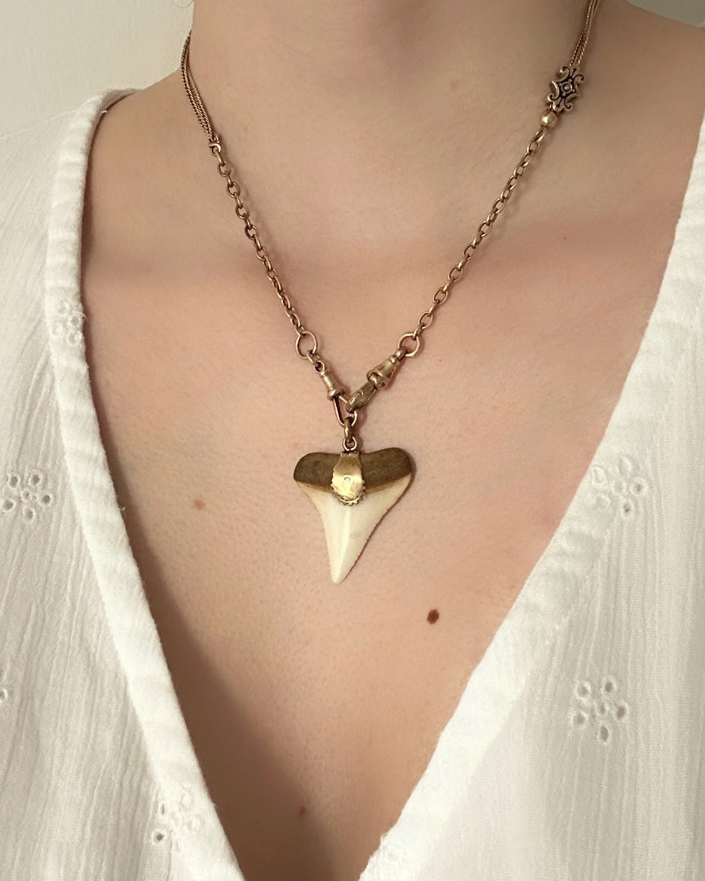 Victorian Shark’s Tooth Pendant in 9ct Gold