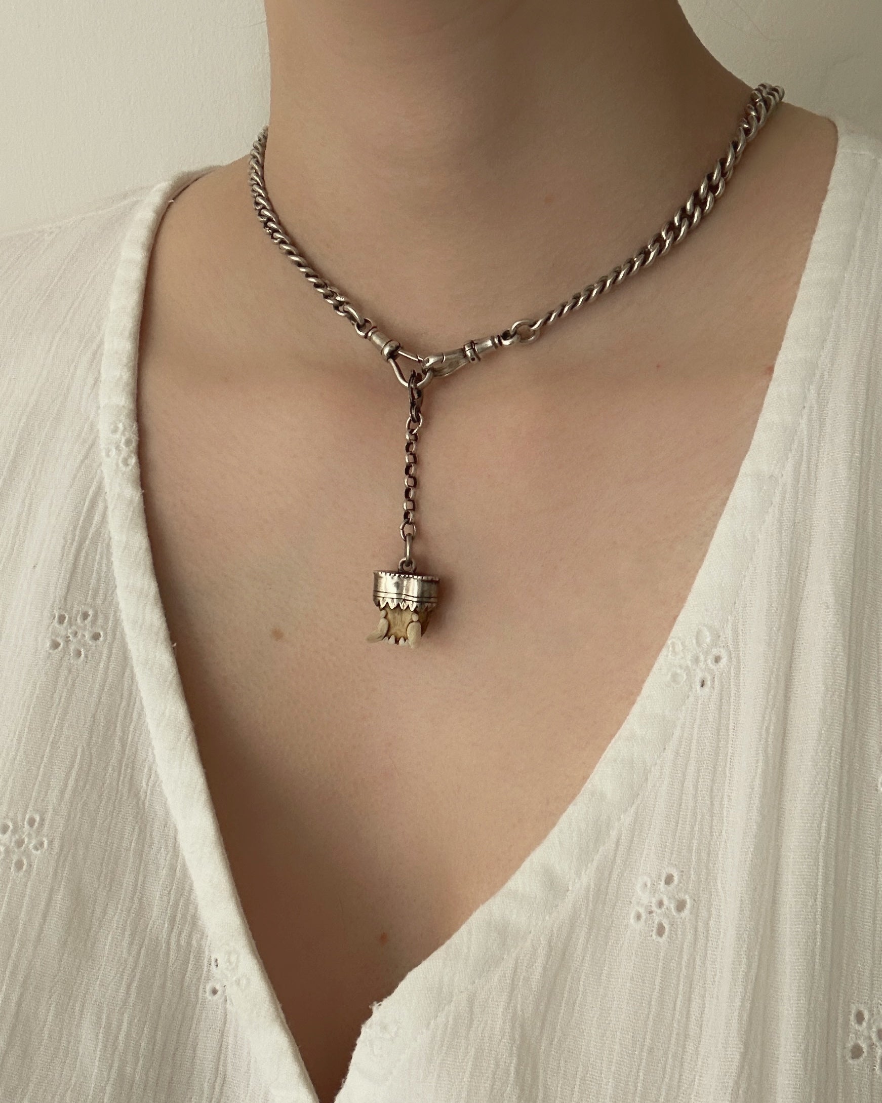 Antique Charivari Animal Tooth Pendant