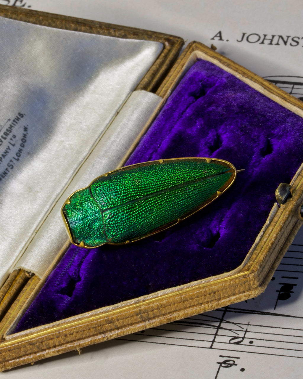 Antique Victorian High Carat Gold Etruscan Revival Beetle Brooch