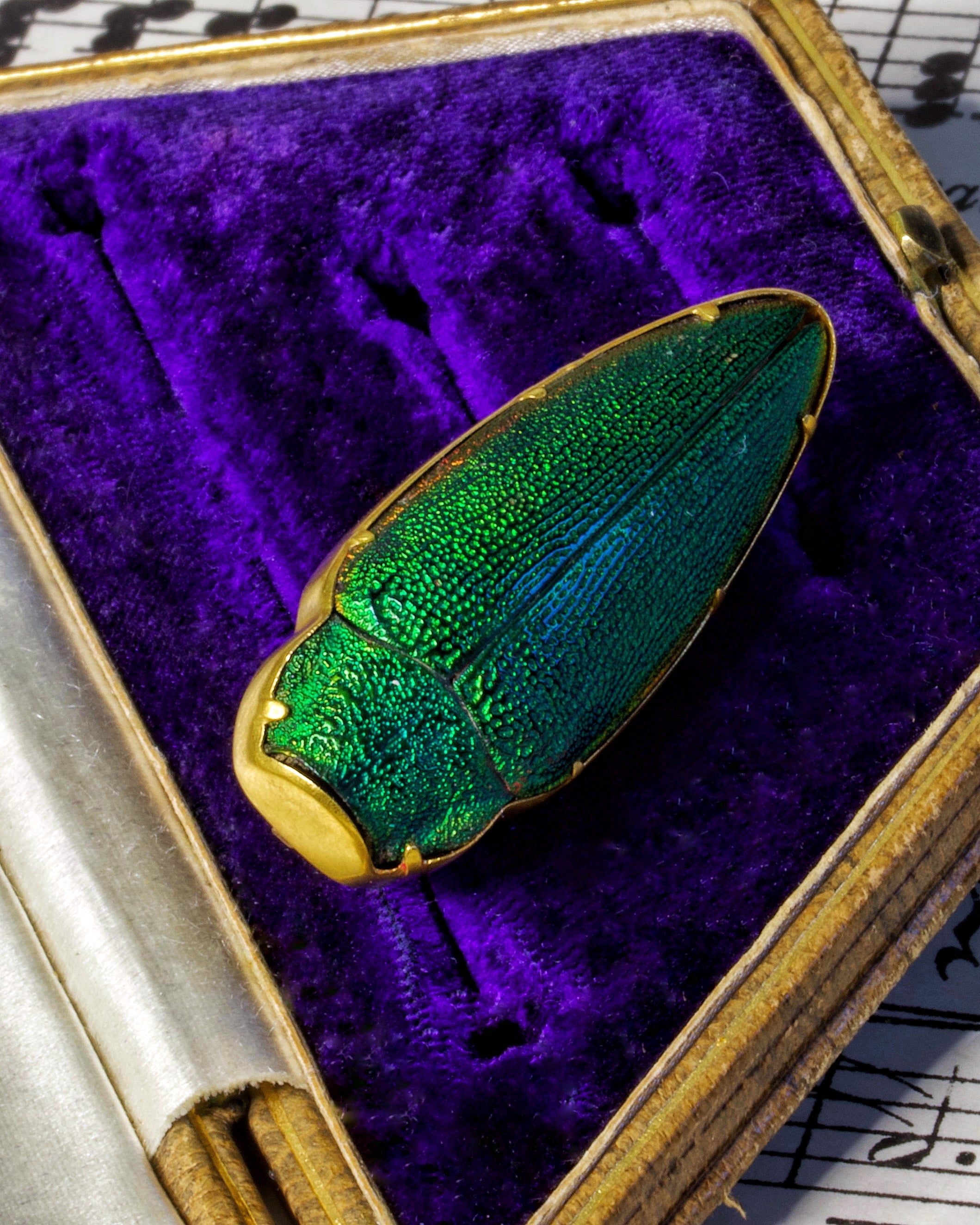 Antique Victorian High Carat Gold Etruscan Revival Beetle Brooch
