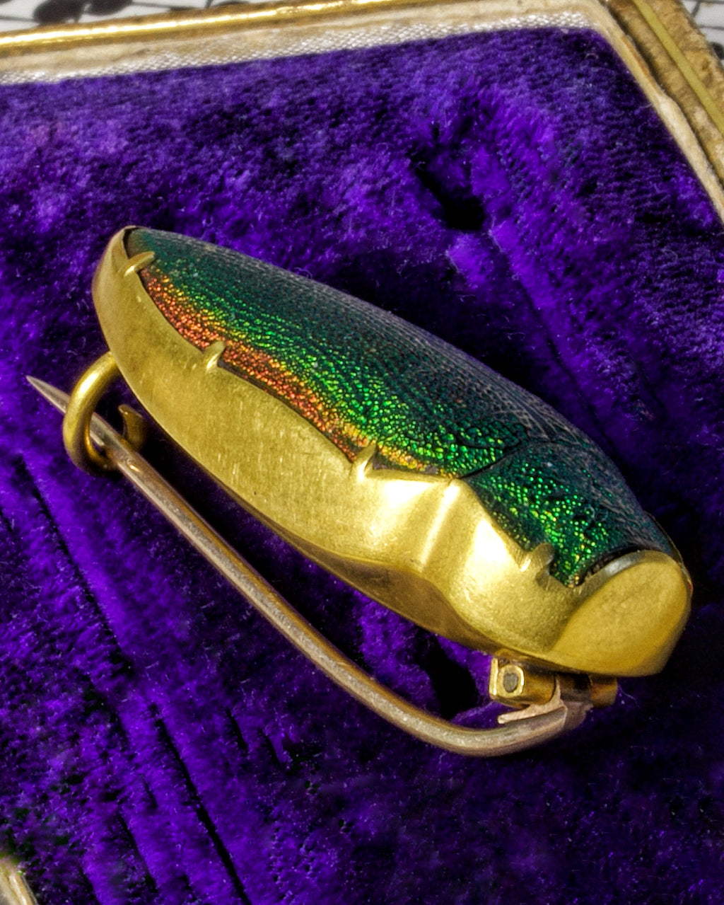 Antique Victorian High Carat Gold Etruscan Revival Beetle Brooch