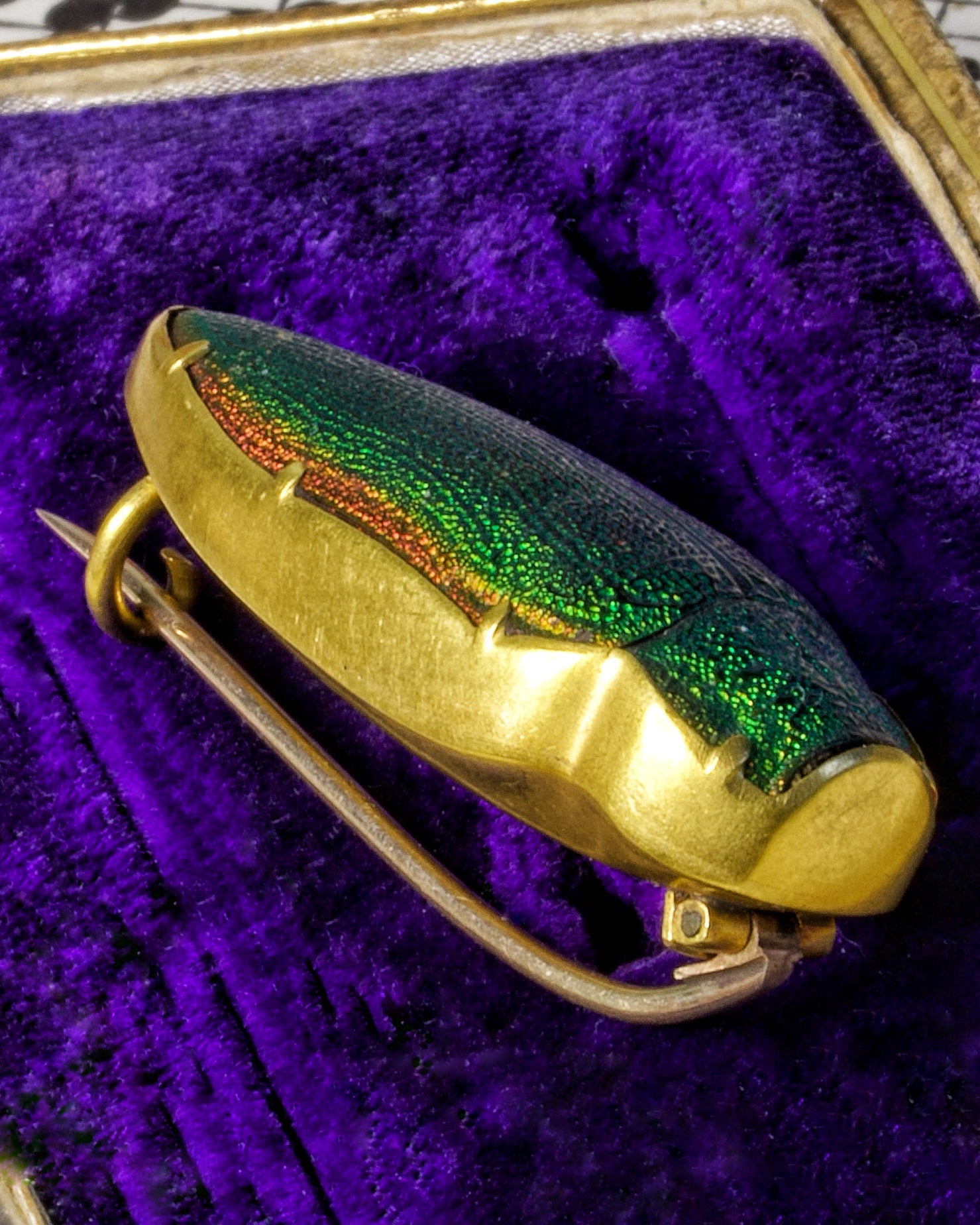 Antique Victorian High Carat Gold Etruscan Revival Beetle Brooch