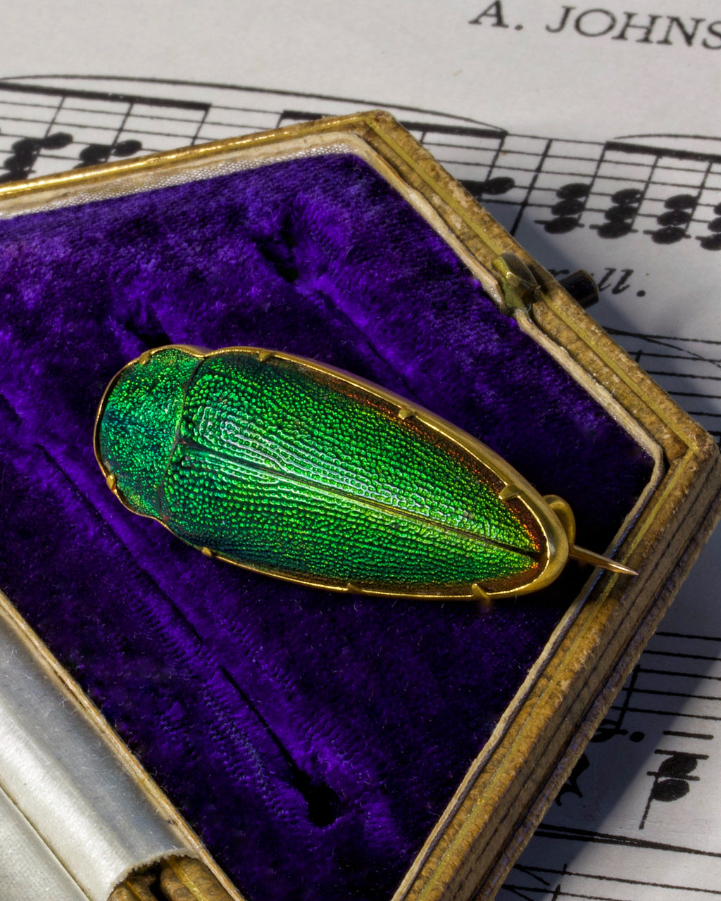 Antique Victorian High Carat Gold Etruscan Revival Beetle Brooch