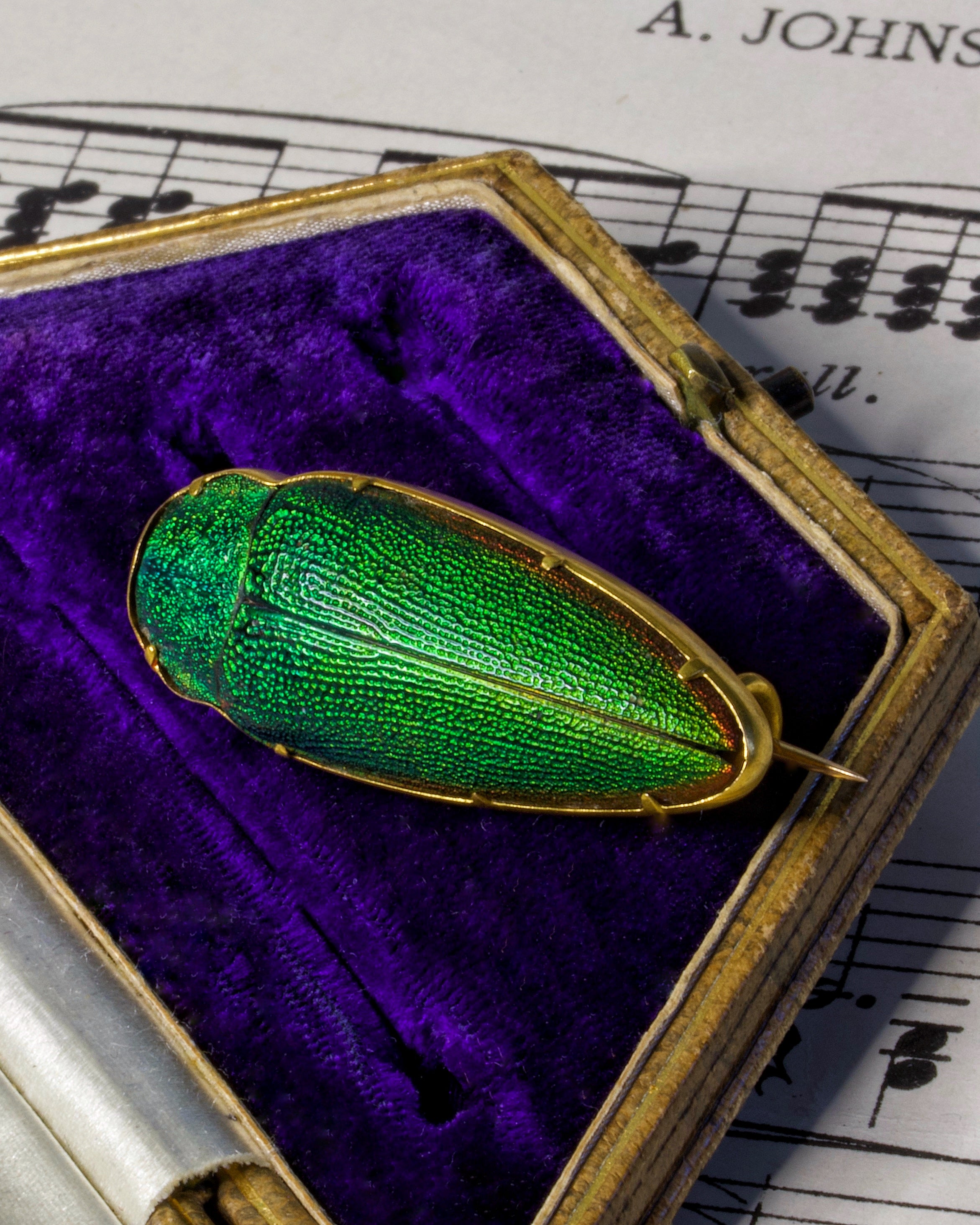 Antique Victorian High Carat Gold Etruscan Revival Beetle Brooch