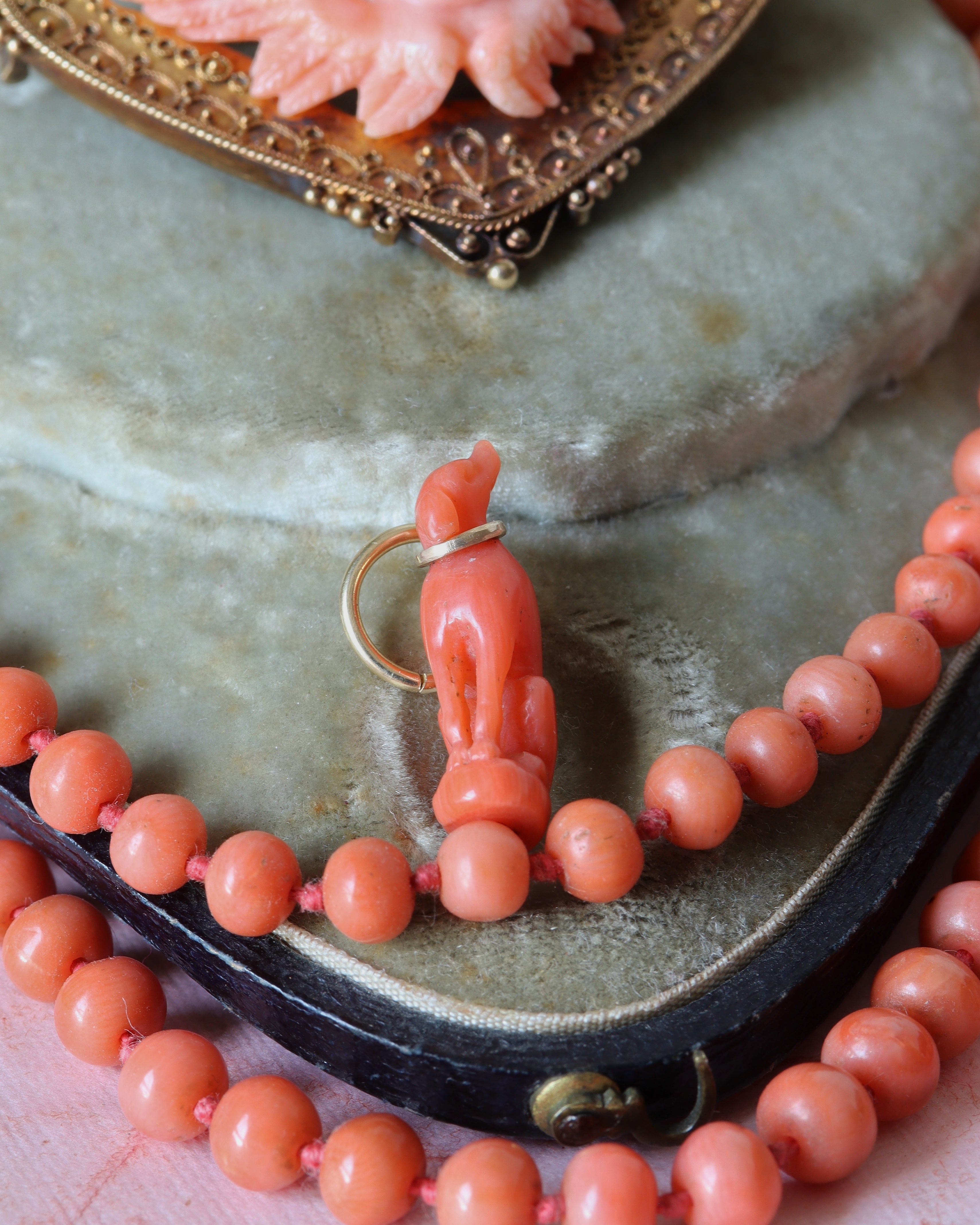 Victorian Carved Coral Dog Charm