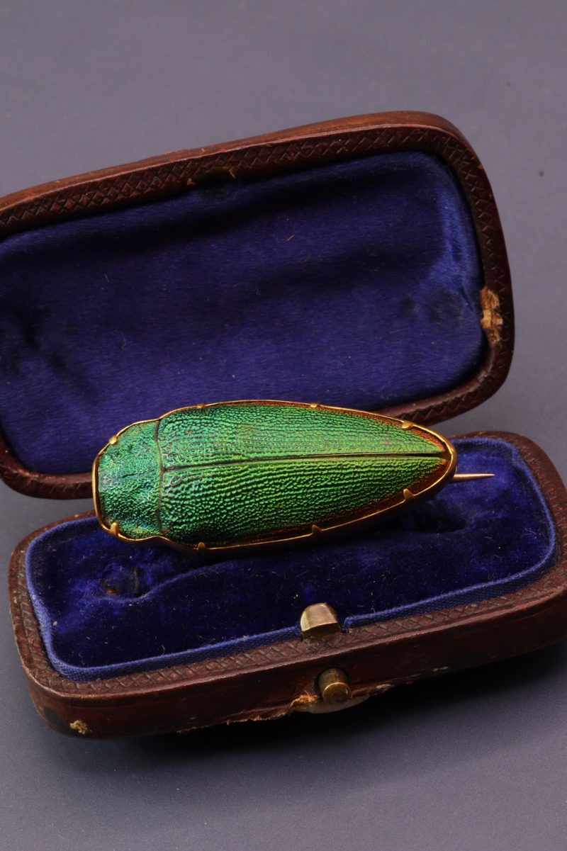 Antique Victorian High Carat Gold Etruscan Revival Beetle Brooch