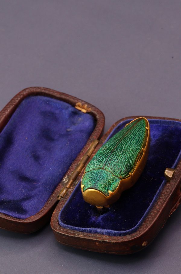 Antique Victorian High Carat Gold Etruscan Revival Beetle Brooch - Image 6