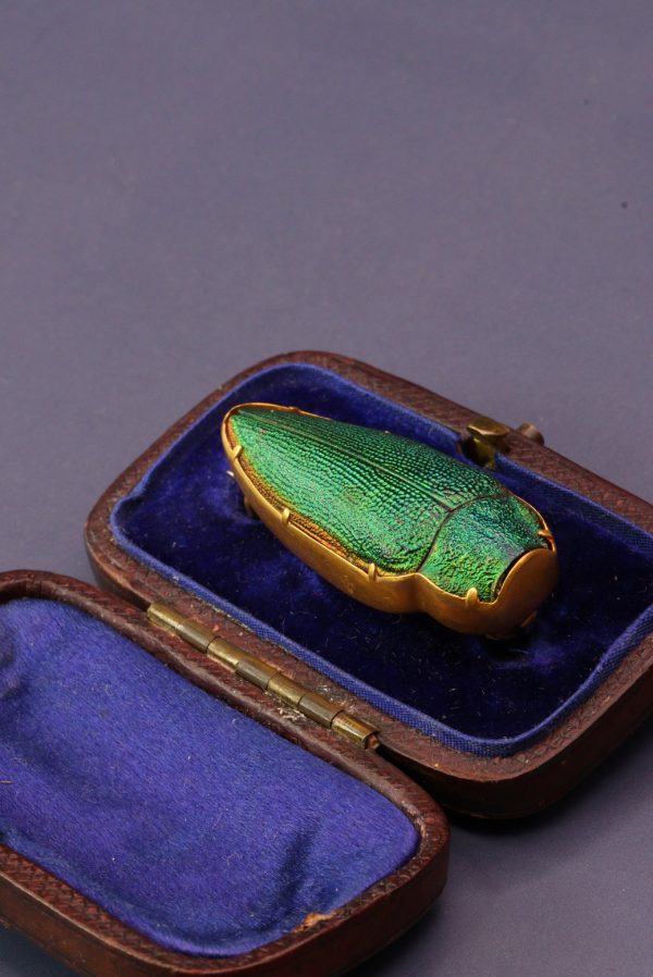 Antique Victorian High Carat Gold Etruscan Revival Beetle Brooch - Image 5