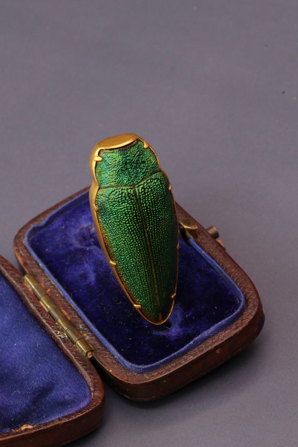 Antique Victorian High Carat Gold Etruscan Revival Beetle Brooch - Image 4